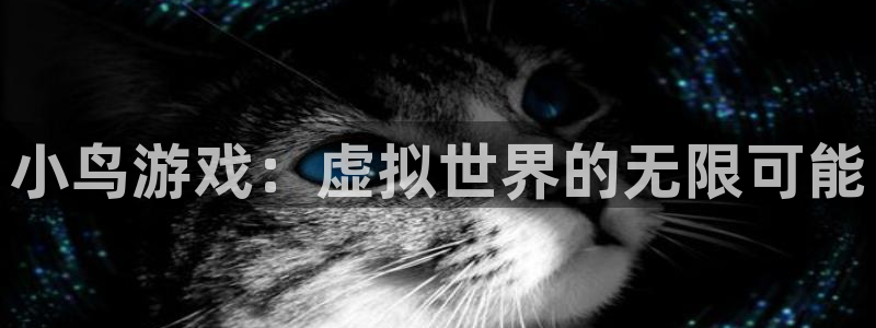 小鸟游戏：虚拟世界的无限可能