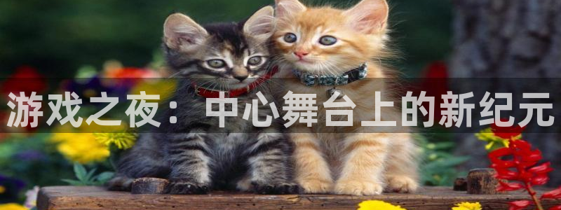游戏之夜：中心舞台上的新纪元