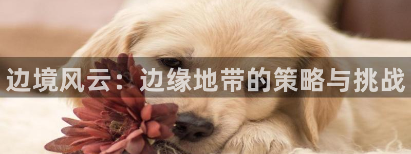 新宝gg创造奇迹平台怎么样：边境风云：边缘地带的策略与挑战