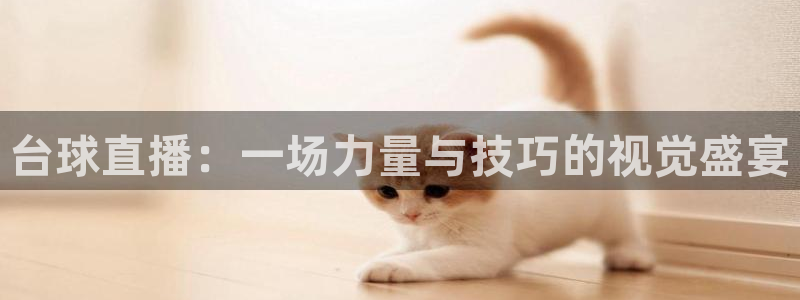 360足球直播无插件高清观看：台球直播：一场力量与技巧的视觉盛宴