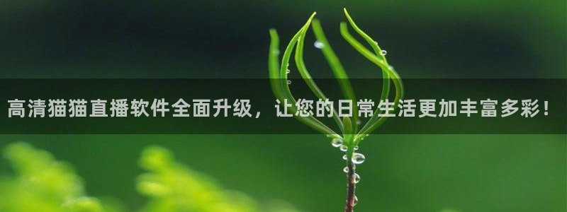 360足球比赛直播无插件：高清猫猫直播软件全面升级，让您的日常生活更加丰富多彩！