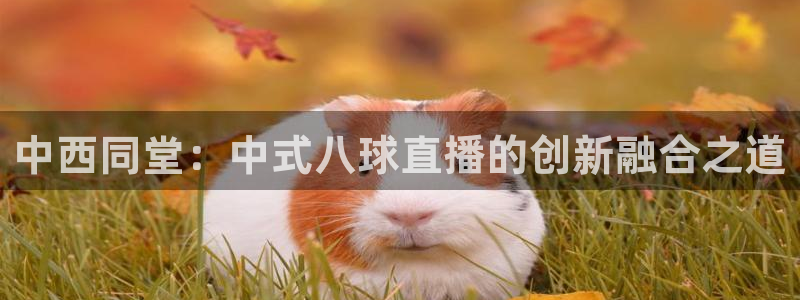 360体育在线直播软件：中西同堂：中式八球直播的创新融合之道