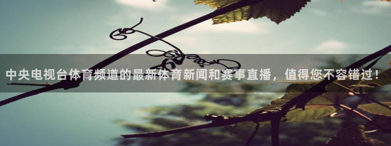 360直播足球直播app：中央电视台体育频道的最新体育新闻和赛事直播，值得您不容错过！