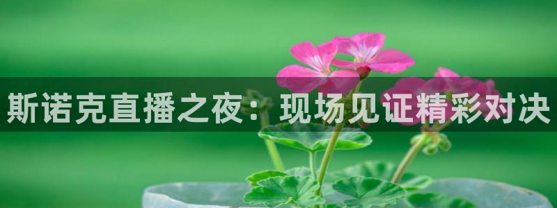 360视频足球直播：斯诺克直播之夜：现场见证精彩对决